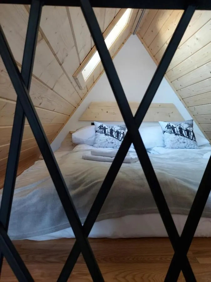 公寓 Apartamenty - Droga Do Walczakow 37A 扎科帕内